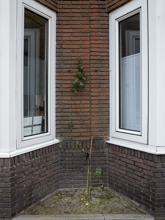 utrecht